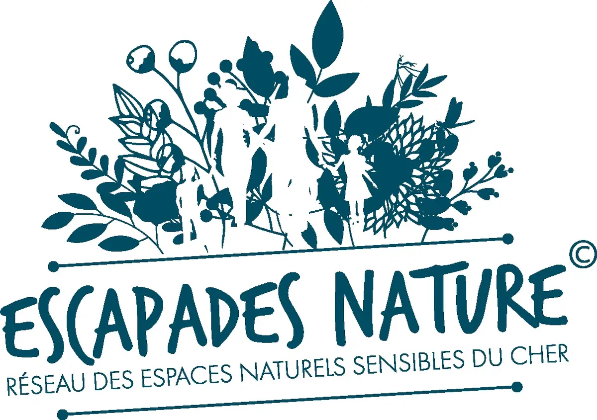 Vive le printemps sur la pelouse !