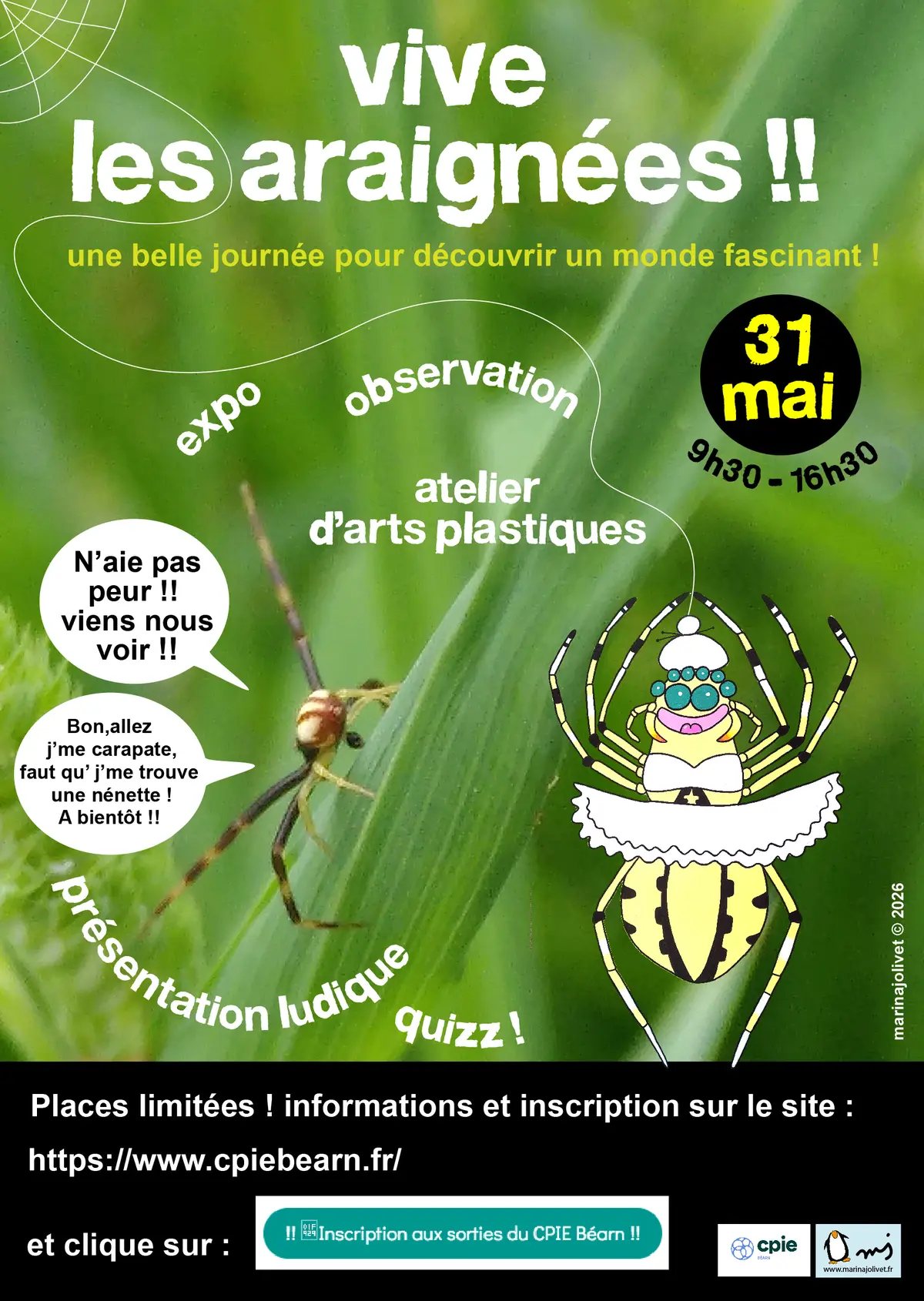 Vive les araignées !
