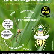 Vive les araignées !