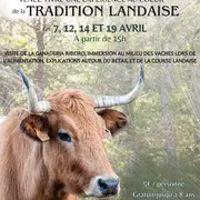 Vivez une expérience au cœur de la tradition landaise