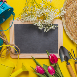 Voici le printemps : Atelier loisir créatif