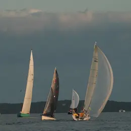 Voile