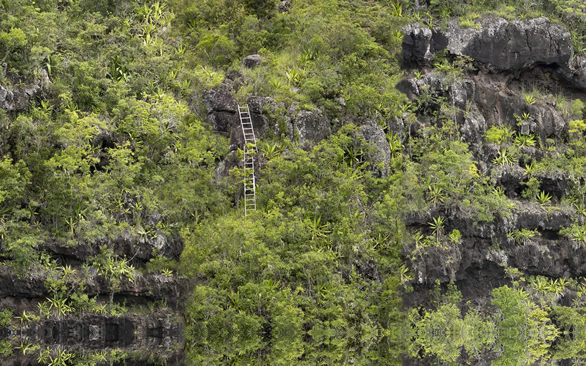 Exposition de photographies au Jardin des serres d'Auteuil