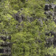 « Voir le Vivant Autrement » une exposition dans le jardin et les serres d'Auteuil