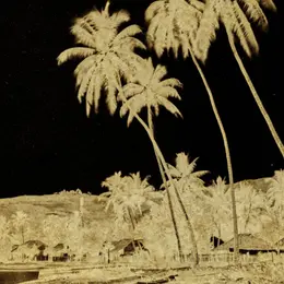 Voir Tahiti. Premières photographies 1859-1870