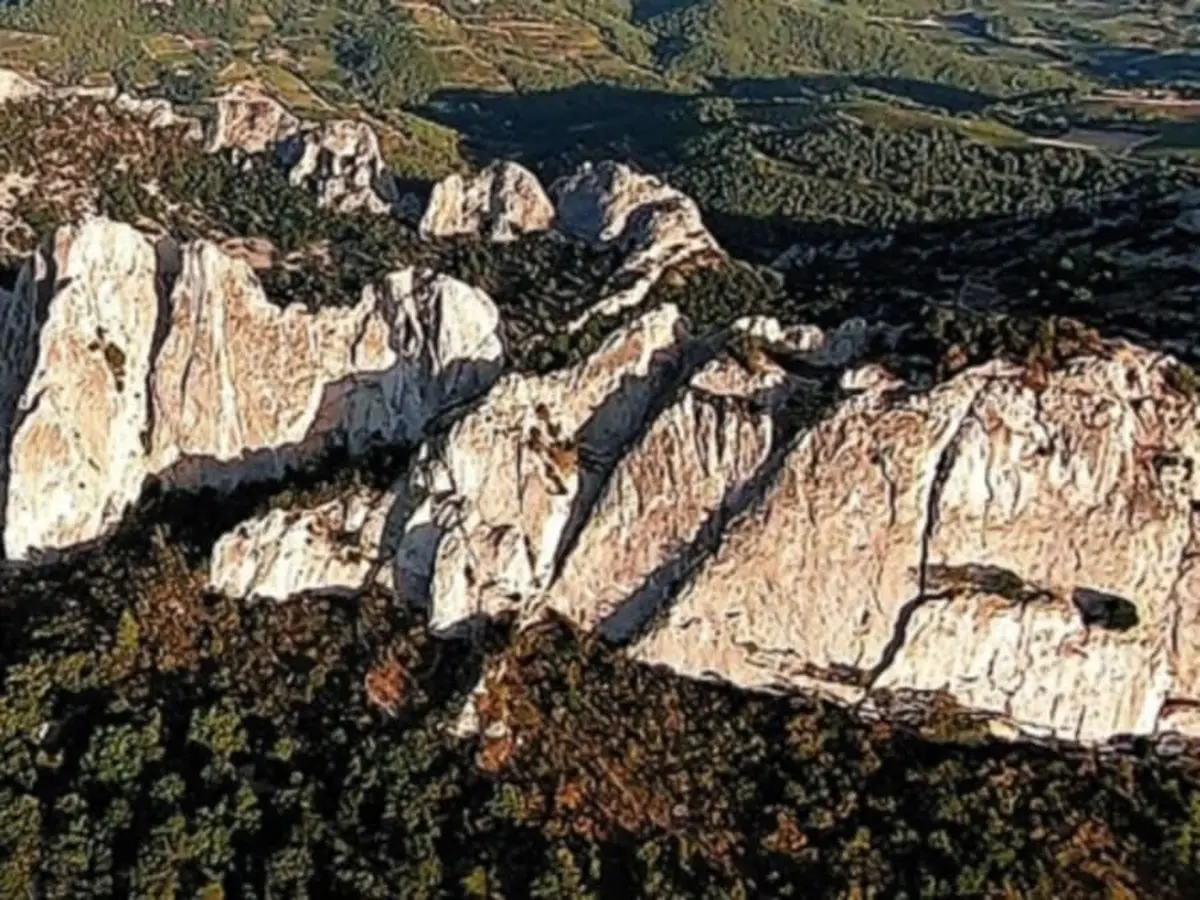 Vol en ULM autogire au dessus des Dentelles-de-Montmirail (84)