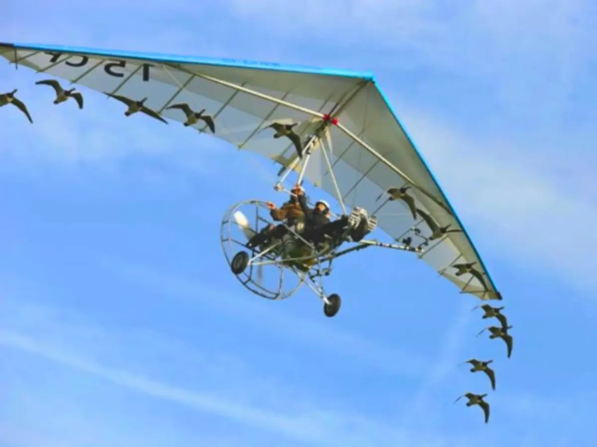 Vol en ULM avec des oiseaux migrateurs (15)