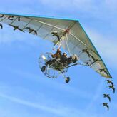 Vol en ULM avec des oiseaux migrateurs (15)