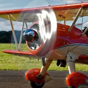 Vol vintage à la Roche-sur-Yon (85)