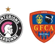Volley-Ball : Narbonne Volley / Gfca Volley