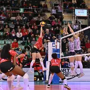 Volley Mulhouse Alsace – ŽOK Ub : vivez le match retour de la Coupe d'Europe à domicile