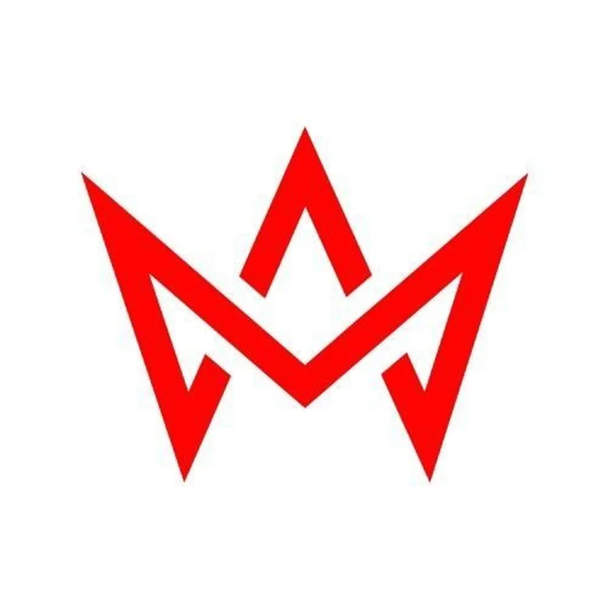 Volley Mulhouse Alsace / VMA