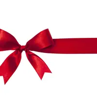 Pensez aux bons cadeaux DR