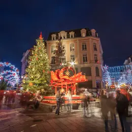 Vous avez un sapin de 15 à 18 mètres ? Mulhouse le cherche pour Noël 2026