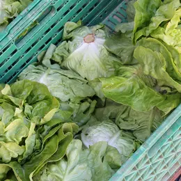 Voyage Au Coeur De L'Alimentation