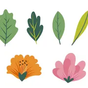 Voyage au fil des jardins