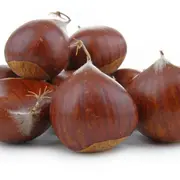 Tout savoir sur la châtaigne