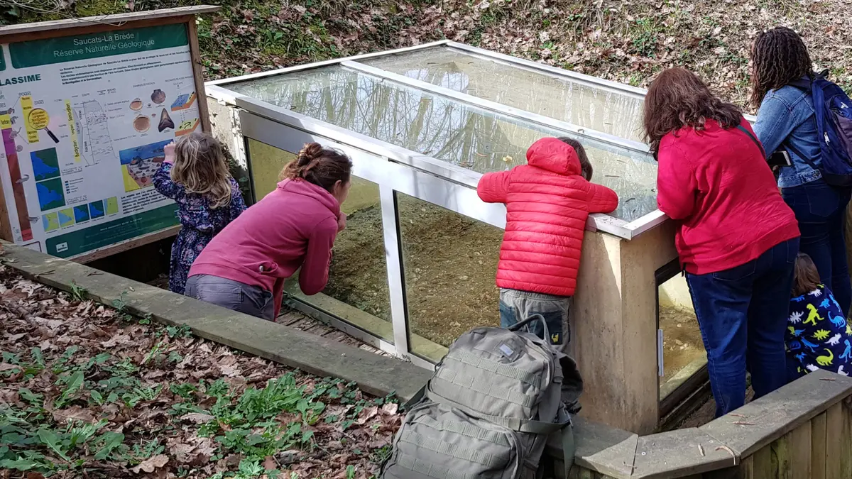 Voyage dans le passé