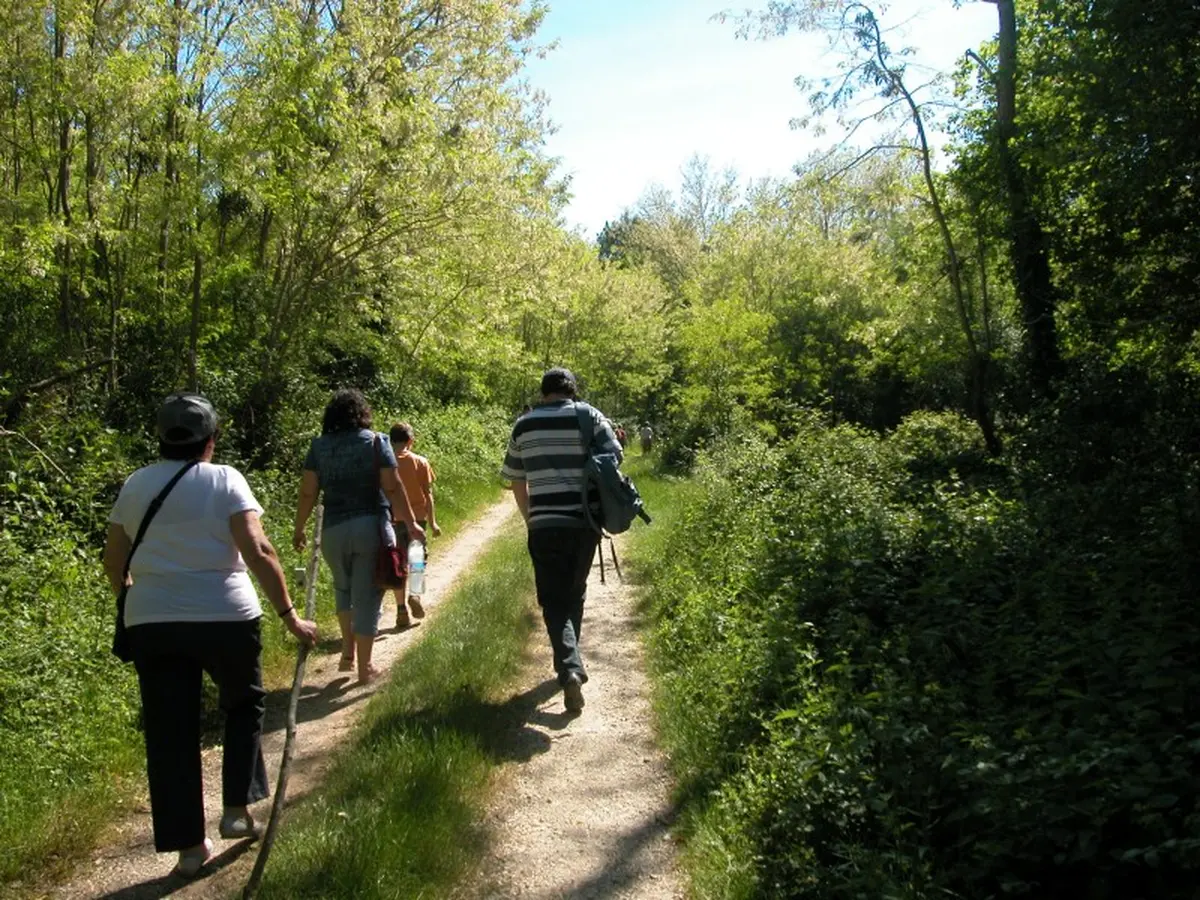 Voyage dans le passé