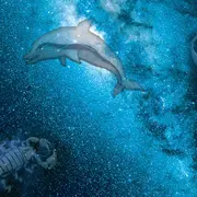 Voyage dans les étoiles et les mythes grecs