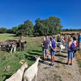 Voyage De Découverte De L'écotourisme En Haute Vallée De L'Aude