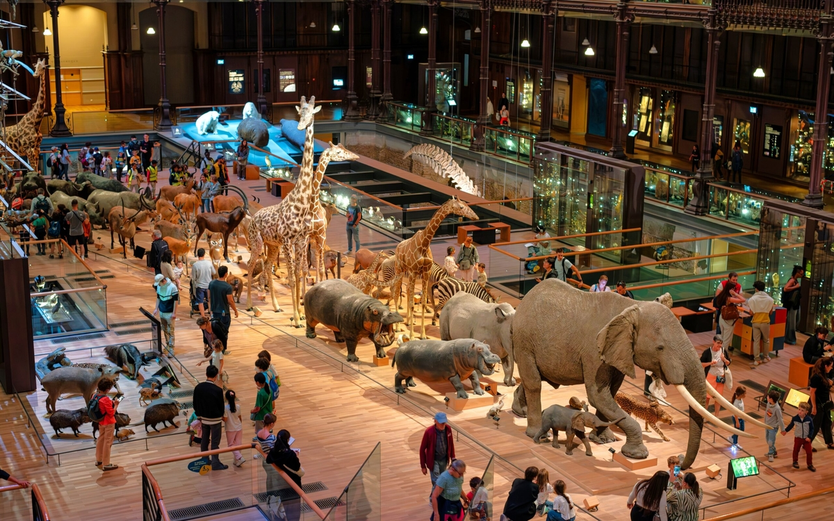 Voyage extraordinaire à la Galerie de l’Évolution