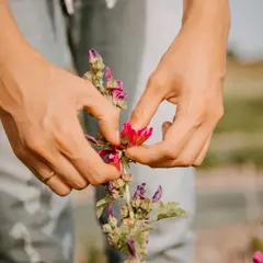 Voyage sensoriel au cœur des plantes