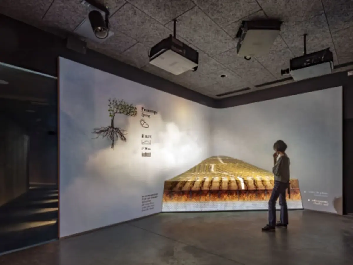 Voyage sensoriel au cœur du Champagne à Aÿ (51)