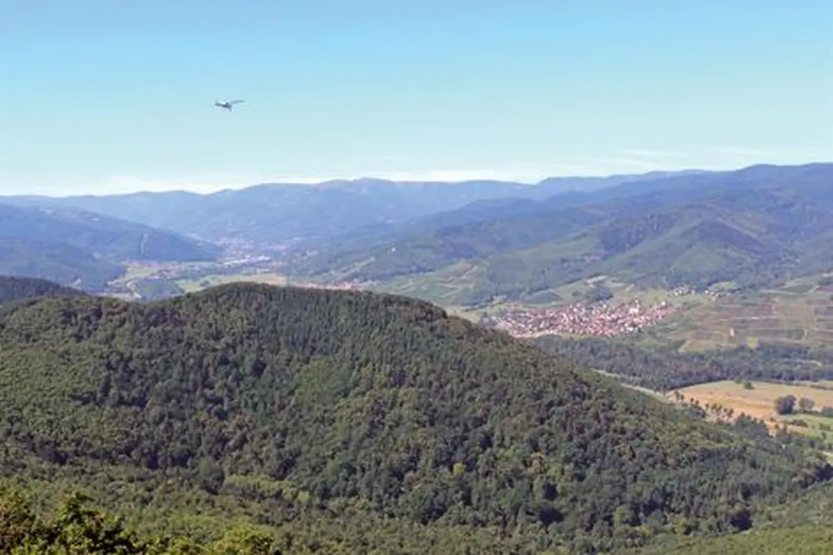 Vue depuis le Château du Hohlansbourg