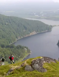 Viaduc du Viaur - Aire de vision