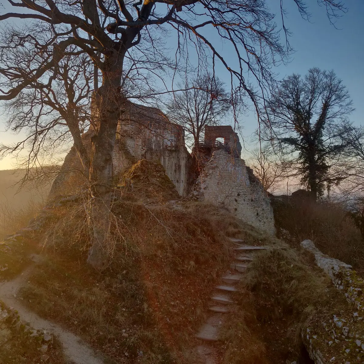 Vue sur le château du haut depuis la citerne