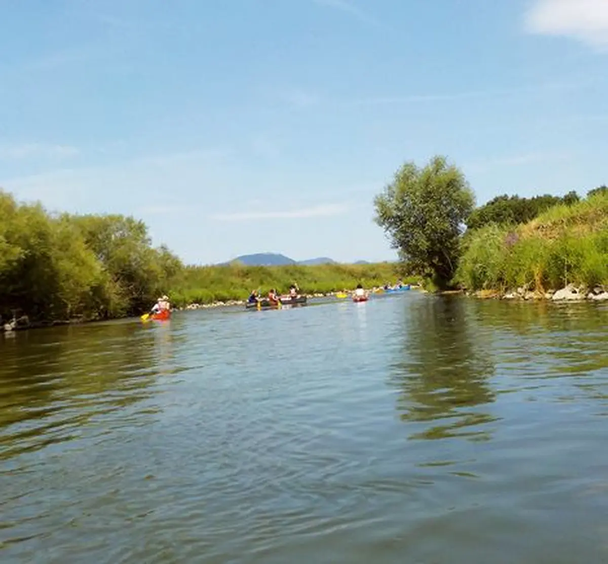 Vue sur le Haut-Koenigsbourg