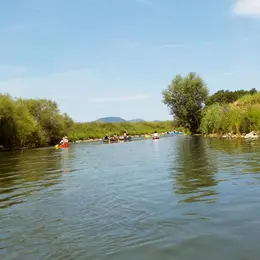 Sortie en canoë sur l'Ill aux alentours de Sélestat