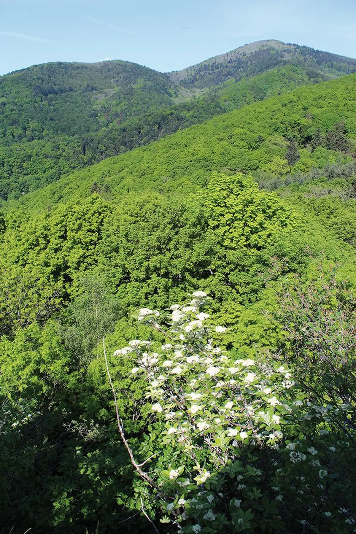 Vue sur les montagnes