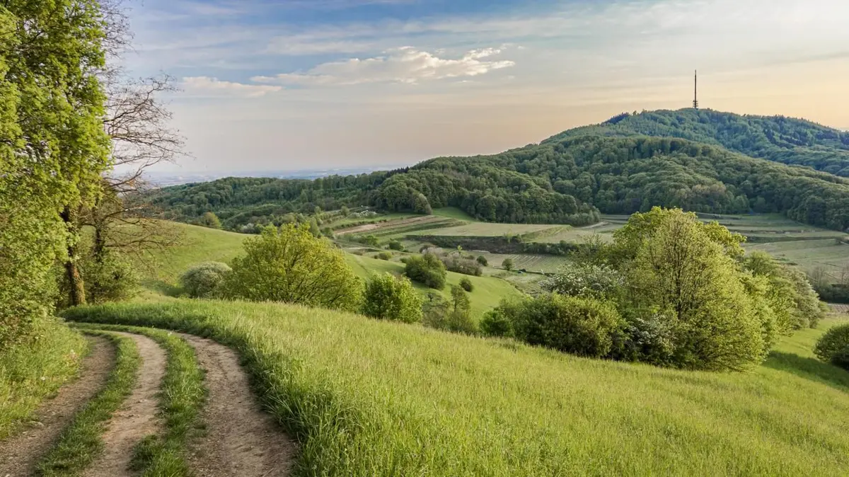 Vue sur Totenkopf (sommet)