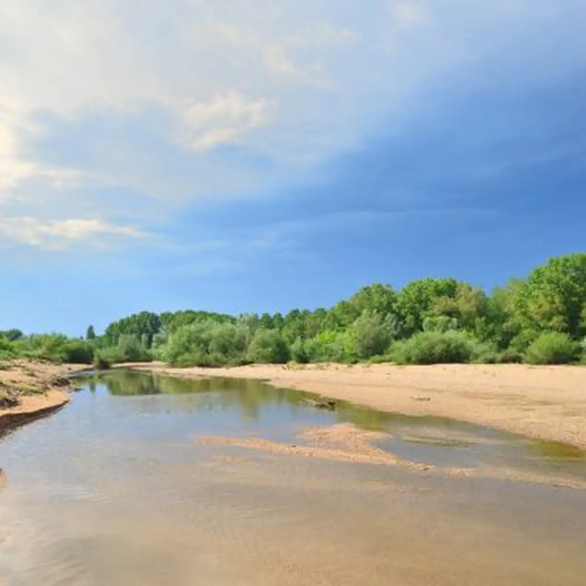 Vues sur une île de Loire