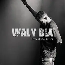 Waly Dia dans Freestyle vol. 3