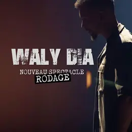 Waly Dia dans Freestyle vol. 3