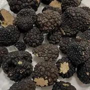 Week-end autour de la truffe à la Villa de la Croix