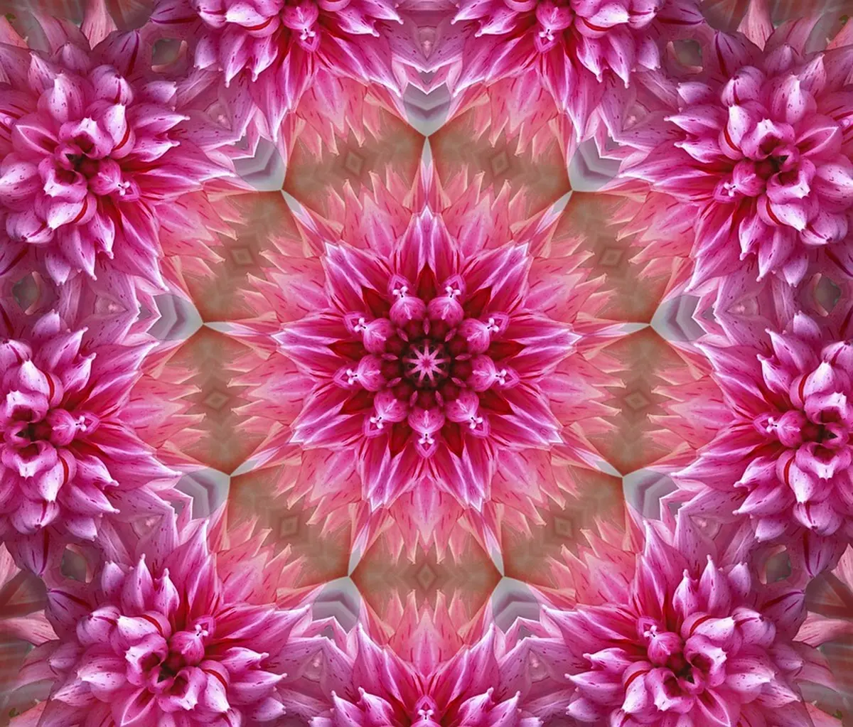Week-end bien-être et créativité : les mandalas fleurs du jardin