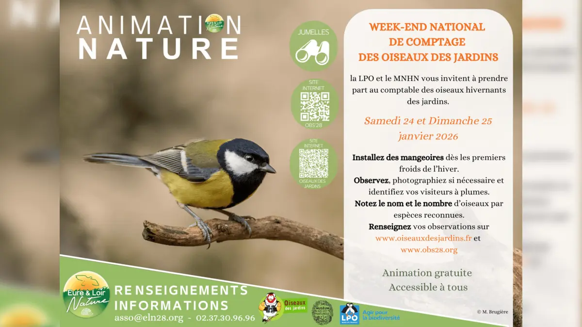 Week-end de comptage des oiseaux de jardins par Eure-et-Loir Nature