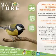 Week-end de comptage des oiseaux de jardins par Eure-et-Loir Nature