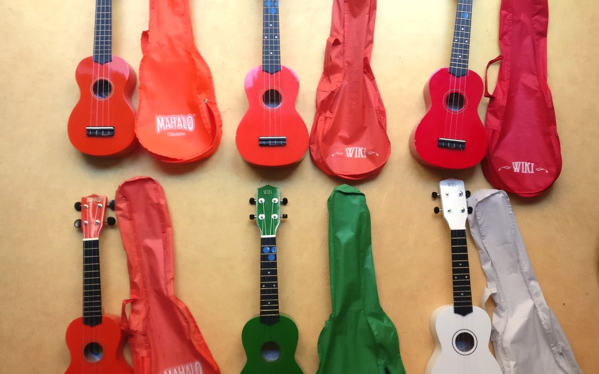 Week-end découverte d'instruments