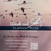 Week-end Flamant Rose - Parc Ornithologique