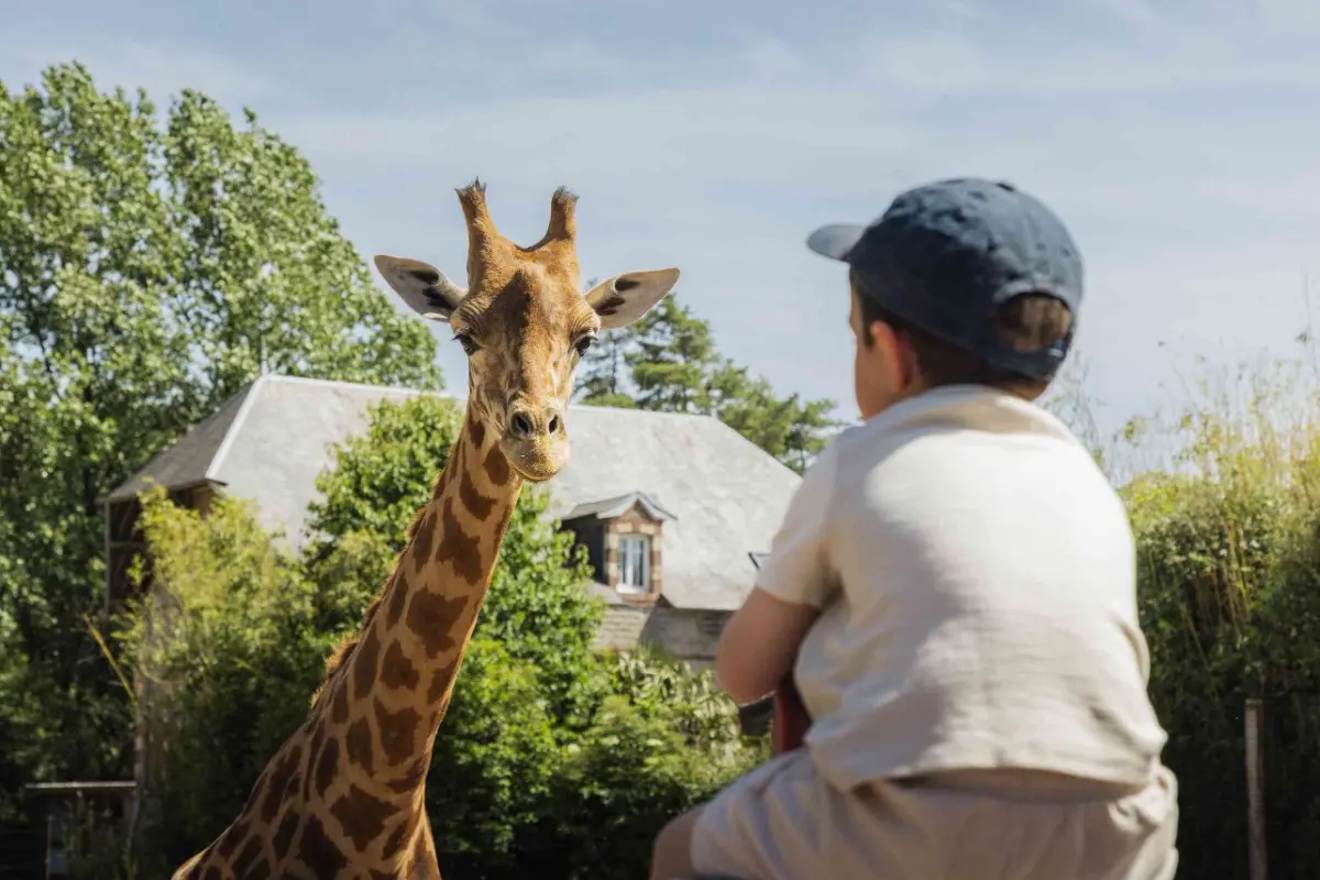 Week-end gratuit pour les enfants au zoo de Jurques