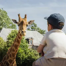 Week-end gratuit pour les enfants au zoo de Jurques