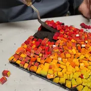 Week-end mosaïque 14 et 15 février 2026