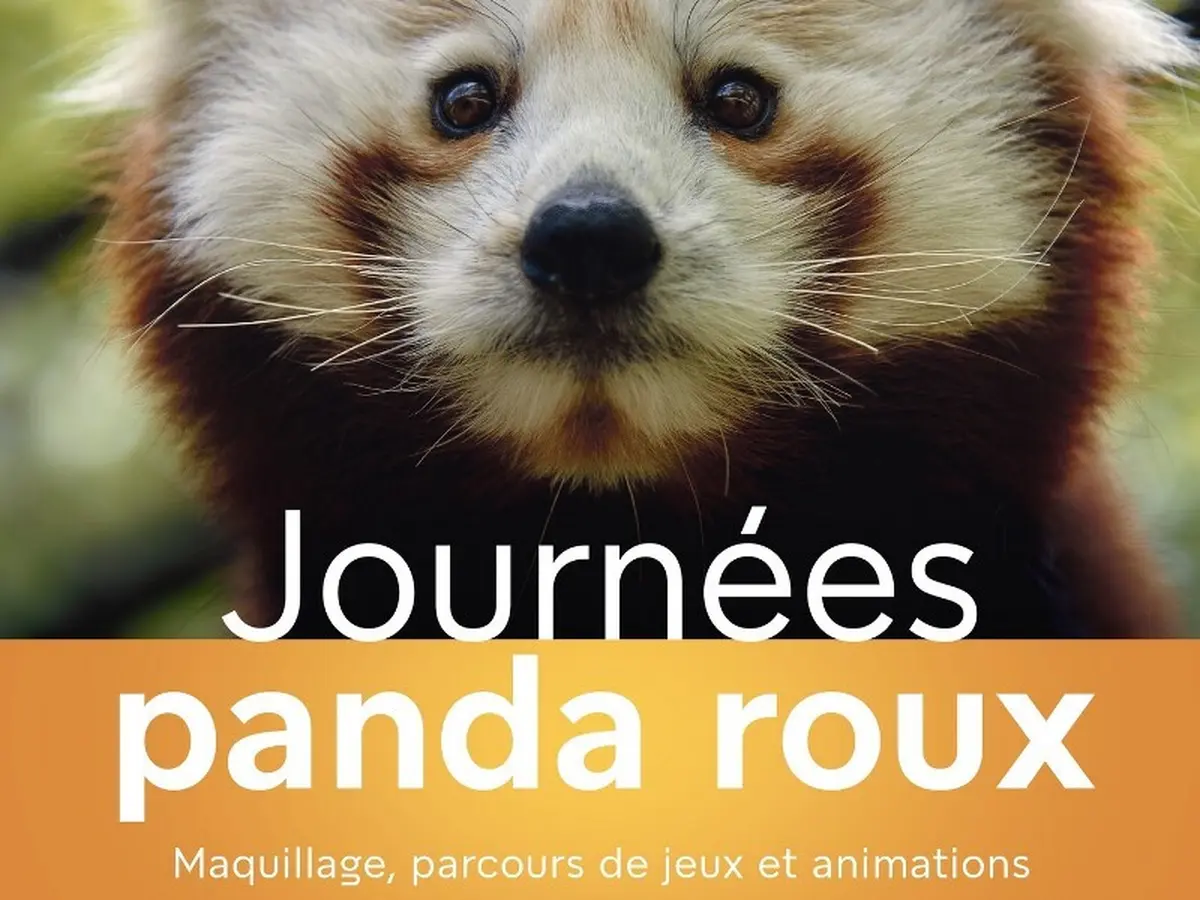 Week-end Panda Roux