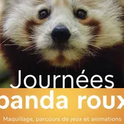 Week-end Panda Roux