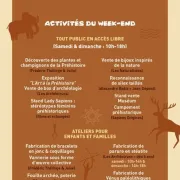 Week-end Préhistoire